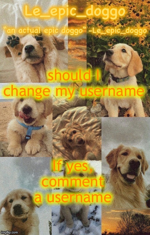 Doggo temp by doggo. Wait what that’s confusing | should I change my username; If yes, comment a username | image tagged in doggo temp by doggo wait what that s confusing | made w/ Imgflip meme maker