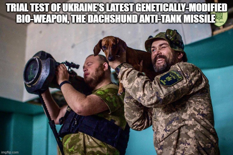 Anti-tank Dog | TRIAL TEST OF UKRAINE'S LATEST GENETICALLY-MODIFIED BIO-WEAPON, THE DACHSHUND ANTI-TANK MISSILE | image tagged in dogs,russia,ukraine,tanks,missile | made w/ Imgflip meme maker