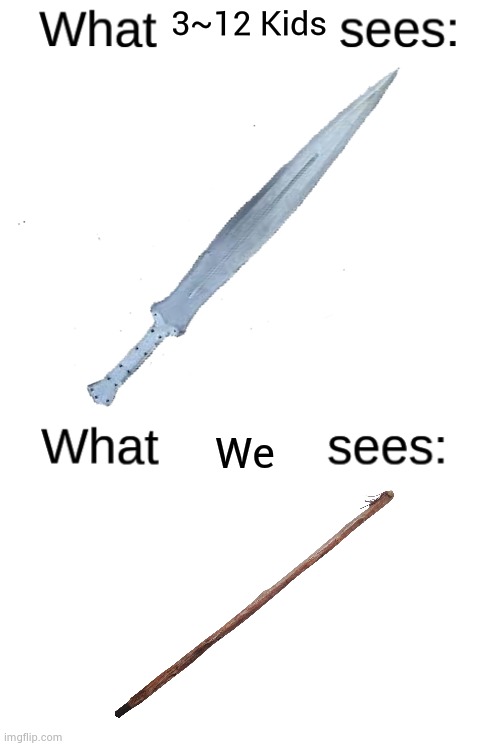 fact | 3~12 Kids; We | image tagged in what blank sees vs what blank sees | made w/ Imgflip meme maker