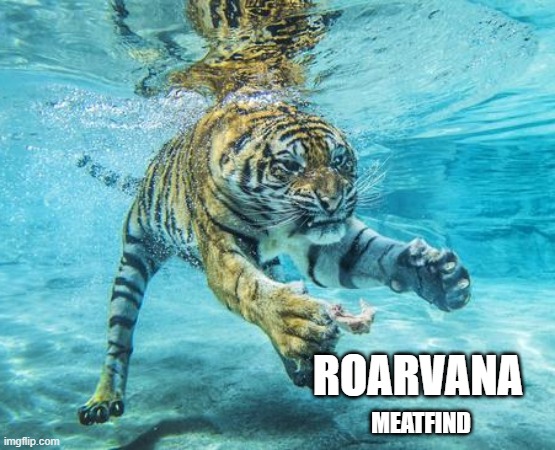 Roarvana | MEATFIND; ROARVANA | image tagged in tiger,nirvana,meat,underwater,bad album art | made w/ Imgflip meme maker