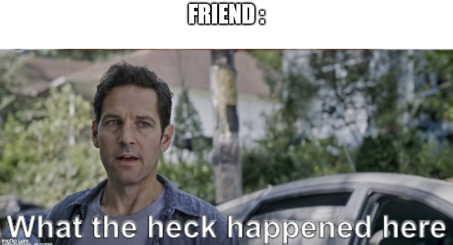 antman what the heck happened here | FRIEND : | image tagged in antman what the heck happened here | made w/ Imgflip meme maker