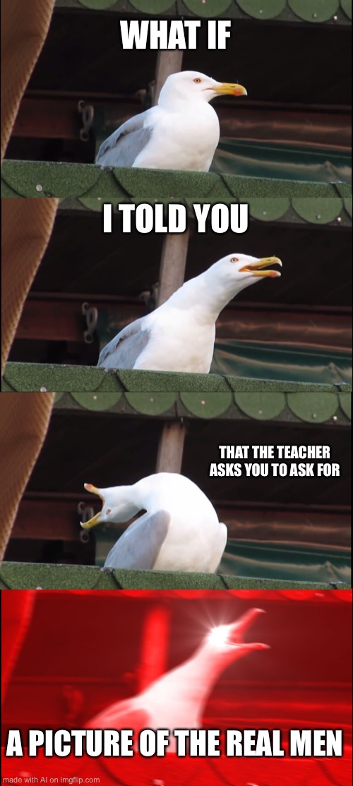 What | WHAT IF; I TOLD YOU; THAT THE TEACHER ASKS YOU TO ASK FOR; A PICTURE OF THE REAL MEN | image tagged in memes,inhaling seagull | made w/ Imgflip meme maker