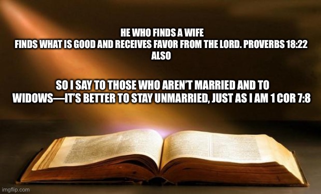 Contradicting Bible. | HE WHO FINDS A WIFE FINDS WHAT IS GOOD AND RECEIVES FAVOR FROM THE LORD. PROVERBS 18:22

ALSO; SO I SAY TO THOSE WHO AREN’T MARRIED AND TO WIDOWS—IT’S BETTER TO STAY UNMARRIED, JUST AS I AM 1 COR 7:8 | image tagged in bible | made w/ Imgflip meme maker