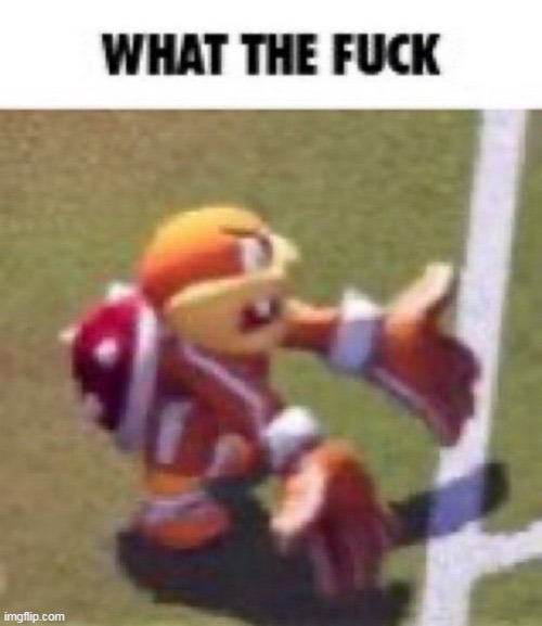 WHAT THE FUCK | image tagged in what the fuck | made w/ Imgflip meme maker