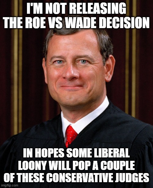 we know which side he's on | I'M NOT RELEASING THE ROE VS WADE DECISION; IN HOPES SOME LIBERAL LOONY WILL POP A COUPLE OF THESE CONSERVATIVE JUDGES | image tagged in justice john roberts | made w/ Imgflip meme maker