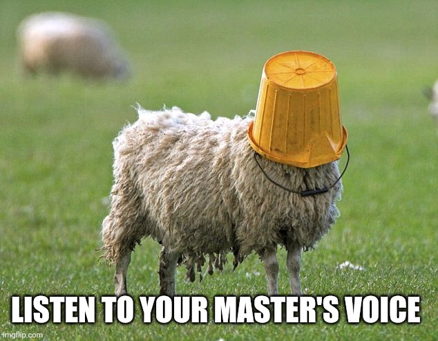 stupid sheep | LISTEN TO YOUR MASTER'S VOICE | image tagged in stupid sheep | made w/ Imgflip meme maker