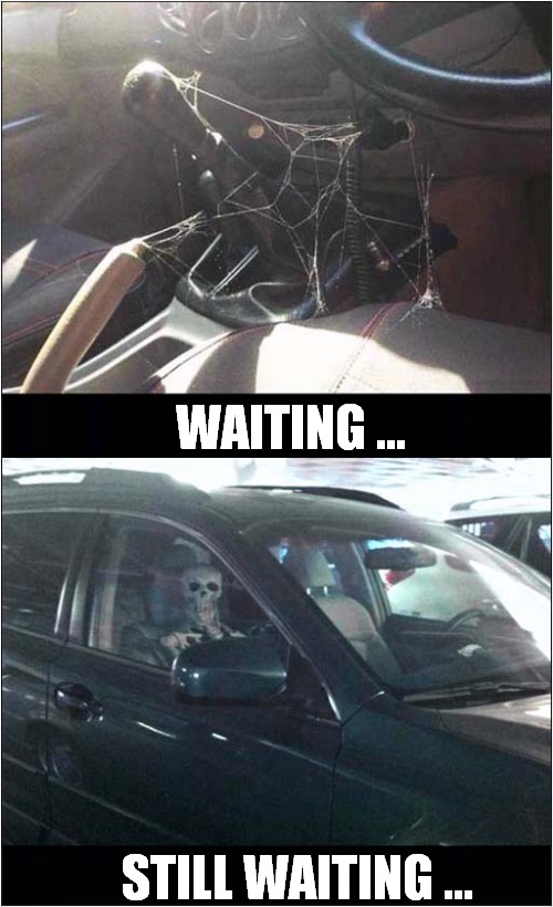 Waiting Outside The Shop For Your Girlfriend To Return ... |  WAITING ... STILL WAITING ... | image tagged in fun,waiting,girlfriend,cobweb,waiting skeleton | made w/ Imgflip meme maker