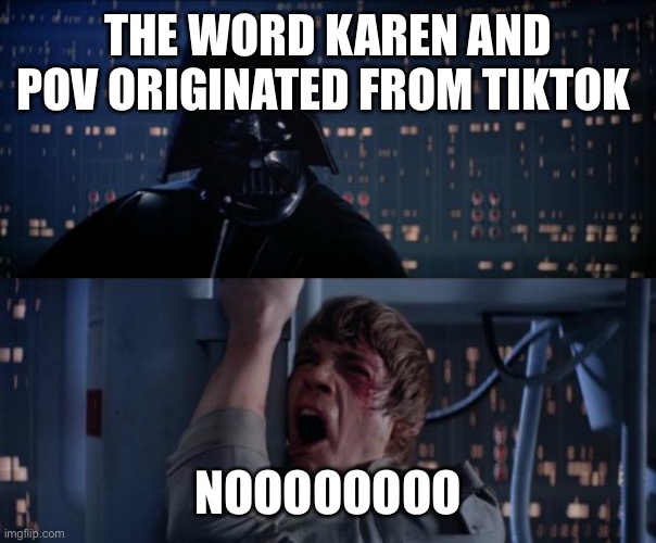 Bruh | THE WORD KAREN AND POV ORIGINATED FROM TIKTOK; NOOOOOOOO | image tagged in nooooooooooo | made w/ Imgflip meme maker