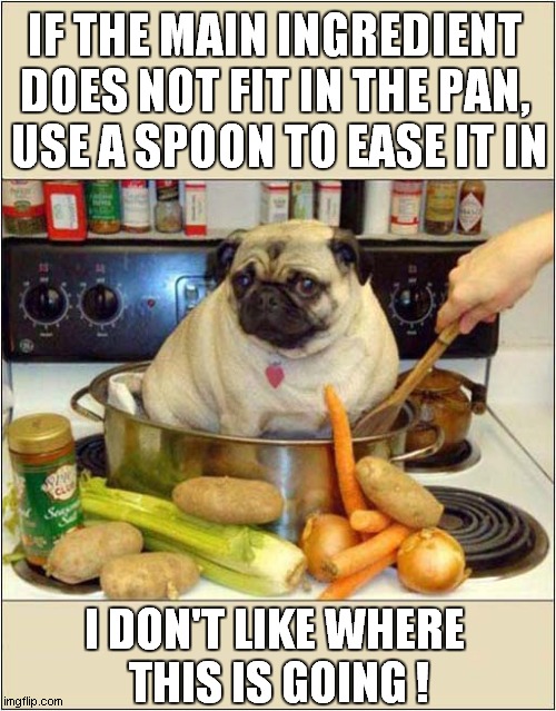 Cooking With A Pug ! | IF THE MAIN INGREDIENT 
DOES NOT FIT IN THE PAN, 
USE A SPOON TO EASE IT IN; I DON'T LIKE WHERE
 THIS IS GOING ! | image tagged in dogs,pug,cooking | made w/ Imgflip meme maker