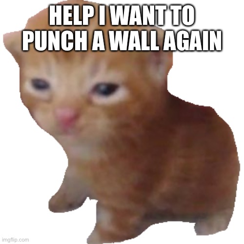 Herbert | HELP I WANT TO PUNCH A WALL AGAIN | image tagged in herbert | made w/ Imgflip meme maker
