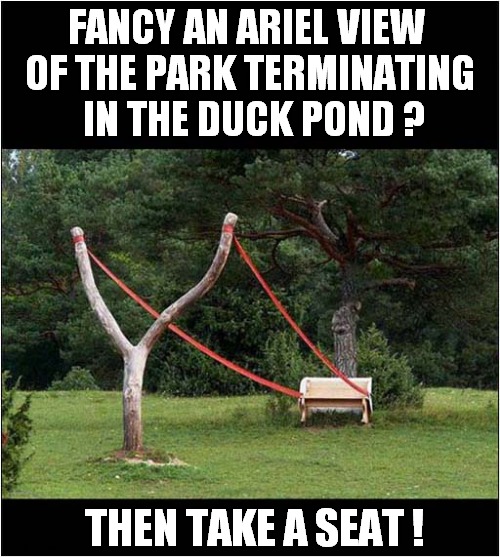 Fun In The Park ! | FANCY AN ARIEL VIEW 
OF THE PARK TERMINATING
 IN THE DUCK POND ? THEN TAKE A SEAT ! | image tagged in park,catapult,duck pond | made w/ Imgflip meme maker