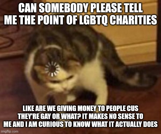I'm genuinely curious | CAN SOMEBODY PLEASE TELL ME THE POINT OF LGBTQ CHARITIES; LIKE ARE WE GIVING MONEY TO PEOPLE CUS THEY'RE GAY OR WHAT? IT MAKES NO SENSE TO ME AND I AM CURIOUS TO KNOW WHAT IT ACTUALLY DOES | image tagged in loading cat | made w/ Imgflip meme maker