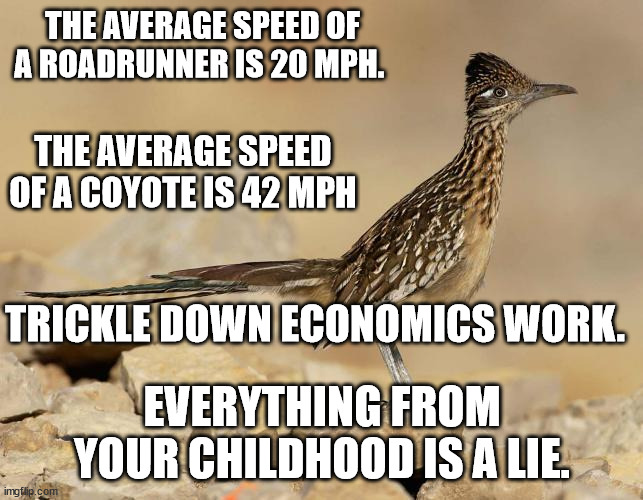 THE AVERAGE SPEED OF A ROADRUNNER IS 20 MPH. THE AVERAGE SPEED OF A COYOTE IS 42 MPH; TRICKLE DOWN ECONOMICS WORK. EVERYTHING FROM YOUR CHILDHOOD IS A LIE. | made w/ Imgflip meme maker