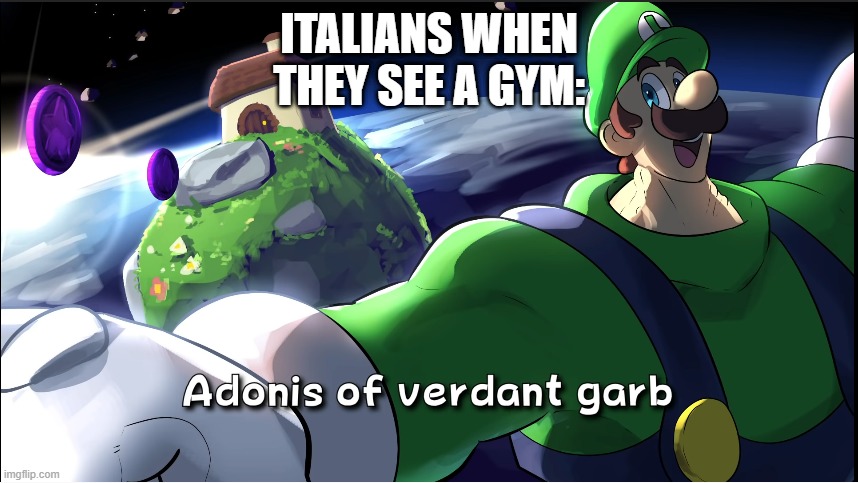 buff bros | ITALIANS WHEN THEY SEE A GYM: | image tagged in luigi | made w/ Imgflip meme maker