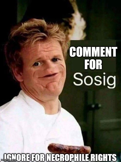 sosig | COMMENT FOR; IGNORE FOR NECROPHILE RIGHTS | image tagged in sosig | made w/ Imgflip meme maker