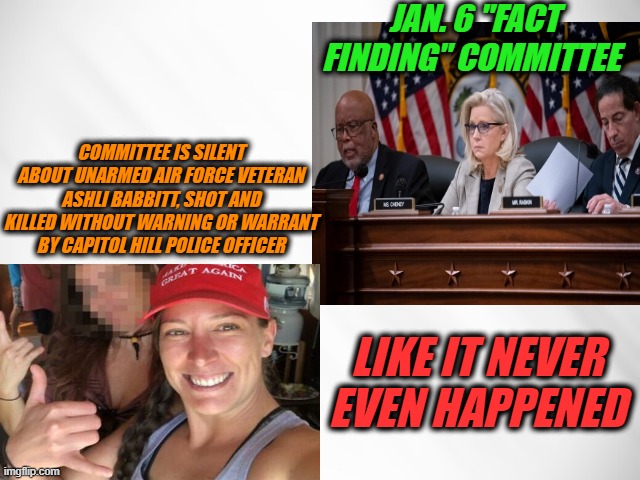 Jan. 6 Inquisition Filters Out Facts that Don't Advance the Narrative | JAN. 6 "FACT FINDING" COMMITTEE; COMMITTEE IS SILENT ABOUT UNARMED AIR FORCE VETERAN ASHLI BABBITT, SHOT AND KILLED WITHOUT WARNING OR WARRANT BY CAPITOL HILL POLICE OFFICER; LIKE IT NEVER EVEN HAPPENED | image tagged in jan 6 committee,ashli babbitt | made w/ Imgflip meme maker