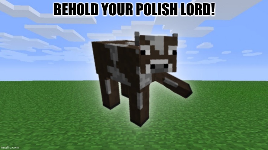 BEHOLD YOUR POLISH LORD! | made w/ Imgflip meme maker
