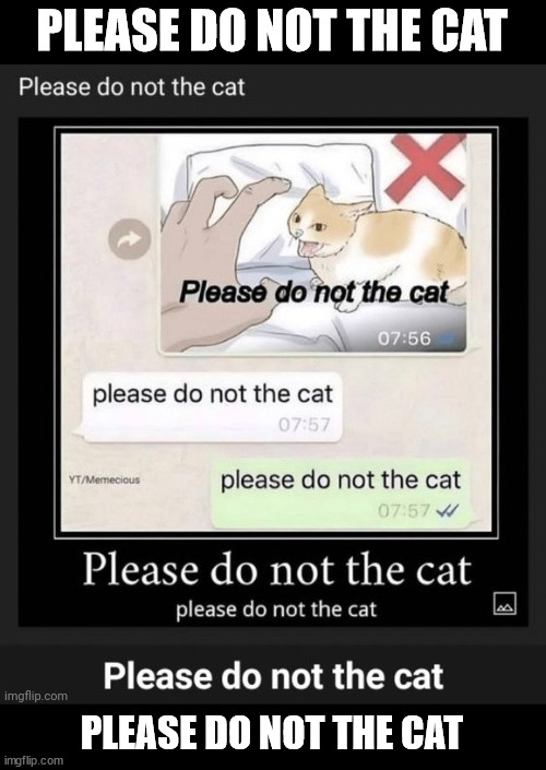 PLEASE DO NOT THE CAT; PLEASE DO NOT THE CAT | made w/ Imgflip meme maker