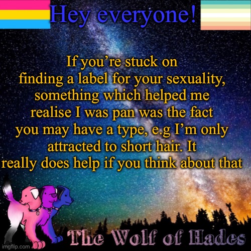 Masc girls are the best | Hey everyone! If you’re stuck on finding a label for your sexuality, something which helped me realise I was pan was the fact you may have a type, e.g I’m only attracted to short hair. It really does help if you think about that | image tagged in thewolfofhades announcement templete | made w/ Imgflip meme maker
