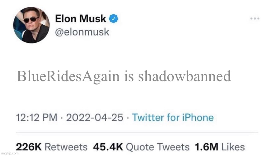 Oh | BlueRidesAgain is shadowbanned | image tagged in elon musk buying twitter | made w/ Imgflip meme maker