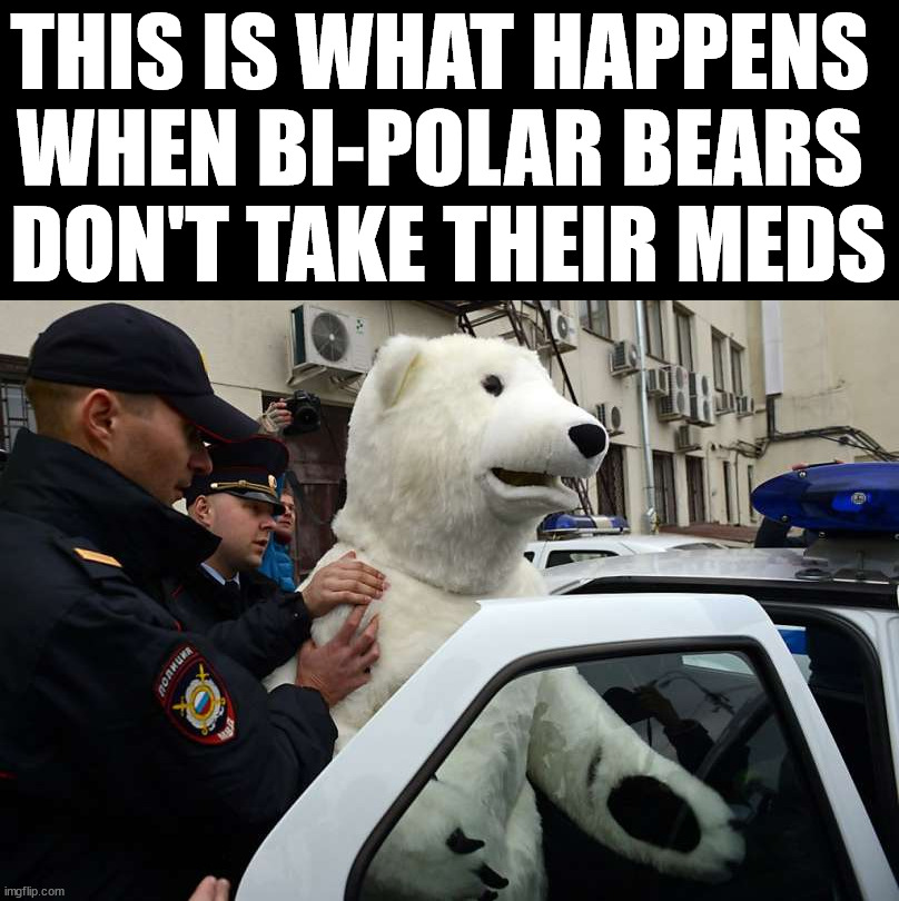 THIS IS WHAT HAPPENS 
WHEN BI-POLAR BEARS 
DON'T TAKE THEIR MEDS | image tagged in eye roll | made w/ Imgflip meme maker