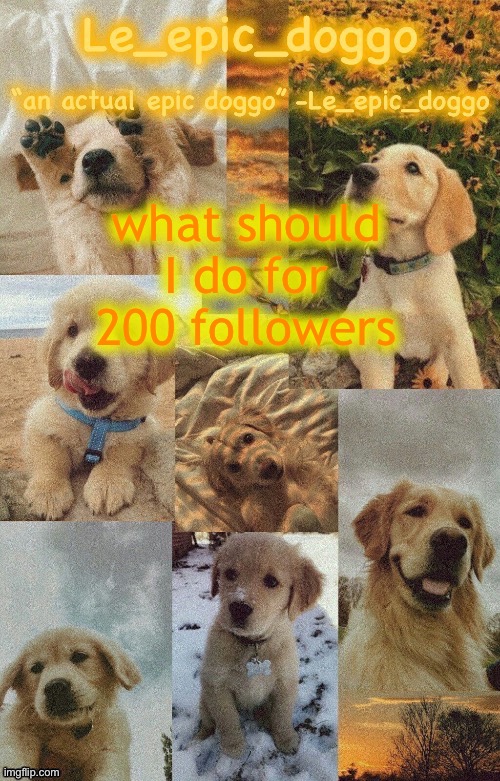 Doggo temp by doggo. Wait what that’s confusing | what should I do for 200 followers | image tagged in doggo temp by doggo wait what that s confusing | made w/ Imgflip meme maker
