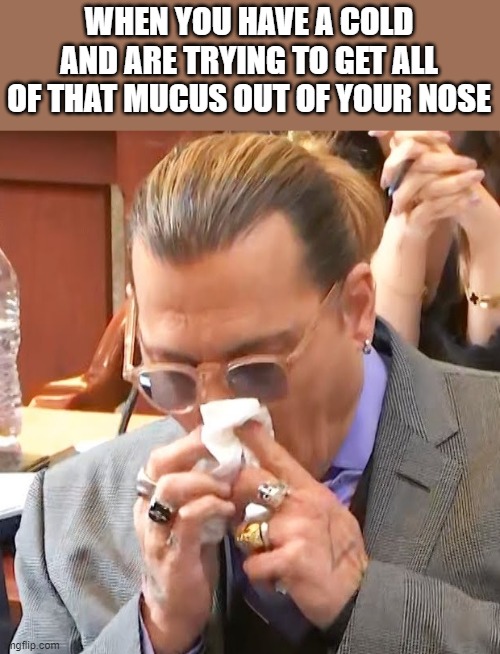 Johnny Depp Has A Cold |  WHEN YOU HAVE A COLD AND ARE TRYING TO GET ALL OF THAT MUCUS OUT OF YOUR NOSE | image tagged in johnny depp,cold,sick,court,funny,memes | made w/ Imgflip meme maker