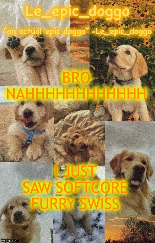 Doggo temp by doggo. Wait what that’s confusing | BRO NAHHHHHHHHHHHH; I JUST SAW SOFTCORE FURRY SWISS | image tagged in doggo temp by doggo wait what that s confusing | made w/ Imgflip meme maker