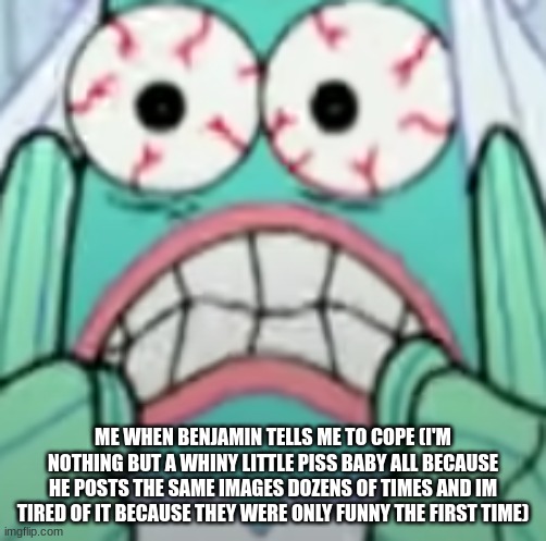 ME WHEN BENJAMIN TELLS ME TO COPE (I'M NOTHING BUT A WHINY LITTLE PISS BABY ALL BECAUSE HE POSTS THE SAME IMAGES DOZENS OF TIMES AND IM TIRED OF IT BECAUSE THEY WERE ONLY FUNNY THE FIRST TIME) | made w/ Imgflip meme maker