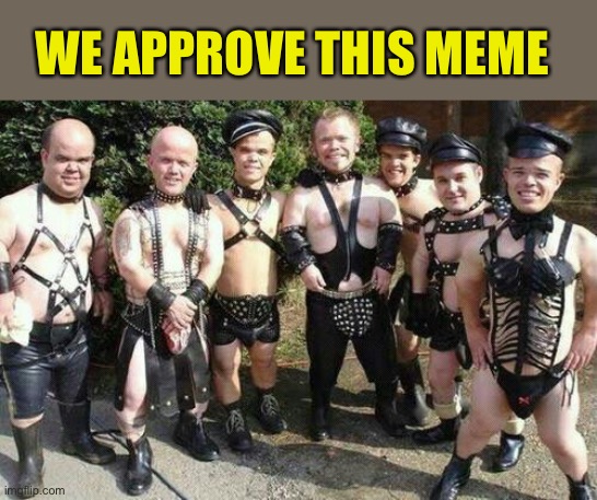 Dwarfs | WE APPROVE THIS MEME | image tagged in dwarfs | made w/ Imgflip meme maker