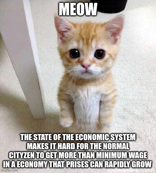 Cute Cat | MEOW; THE STATE OF THE ECONOMIC SYSTEM MAKES IT HARD FOR THE NORMAL CITYZEN TO GET MORE THAN MINIMUM WAGE IN A ECONOMY THAT PRISES CAN RAPIDLY GROW | image tagged in memes,cute cat | made w/ Imgflip meme maker
