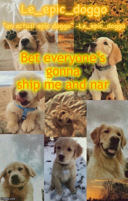 *Nar | Bet everyone’s gonna ship me and nar | image tagged in doggo temp by doggo wait what that s confusing | made w/ Imgflip meme maker