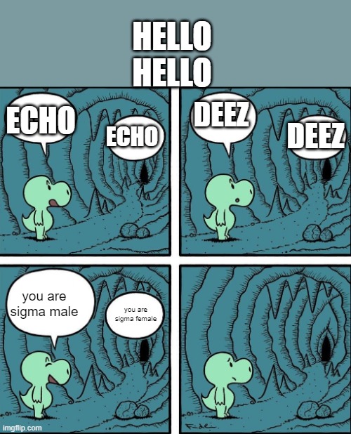 echo | HELLO
HELLO; DEEZ; ECHO; DEEZ; ECHO; you are sigma male; you are sigma female | image tagged in echo | made w/ Imgflip meme maker