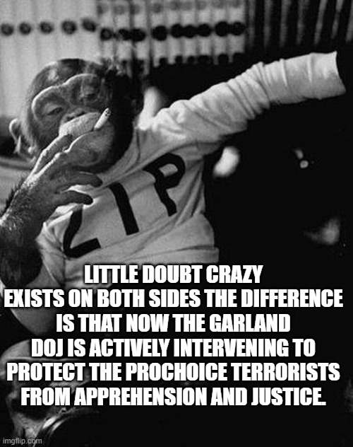 Zip the Smoking Chimp | LITTLE DOUBT CRAZY EXISTS ON BOTH SIDES THE DIFFERENCE IS THAT NOW THE GARLAND DOJ IS ACTIVELY INTERVENING TO PROTECT THE PROCHOICE TERRORIS | image tagged in zip the smoking chimp | made w/ Imgflip meme maker