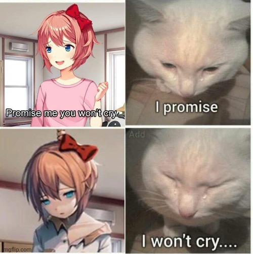 I promise.... | image tagged in promie you wont cry,i promise,/sayori fricking died/,i won't cry | made w/ Imgflip meme maker