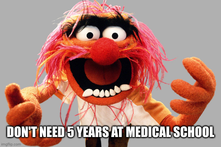 animal muppets | DON'T NEED 5 YEARS AT MEDICAL SCHOOL | image tagged in animal muppets | made w/ Imgflip meme maker