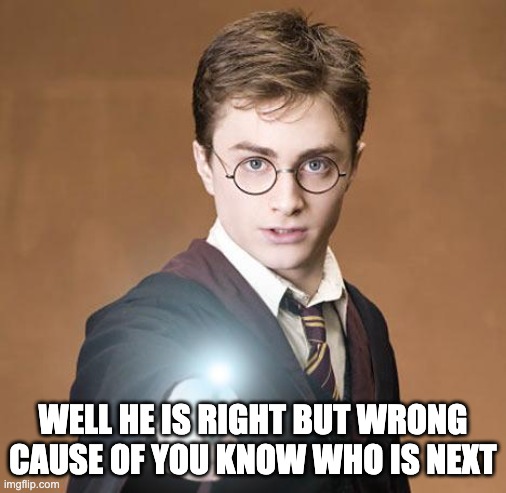 harry potter casting a spell | WELL HE IS RIGHT BUT WRONG CAUSE OF YOU KNOW WHO IS NEXT | image tagged in harry potter casting a spell | made w/ Imgflip meme maker