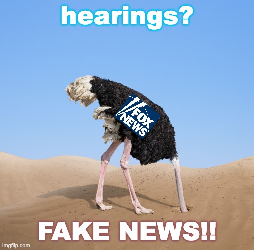 How is your media covering the Jan. 6th hearings? | hearings? FAKE NEWS!! | image tagged in ostrich,democracy,history,insurrection | made w/ Imgflip meme maker