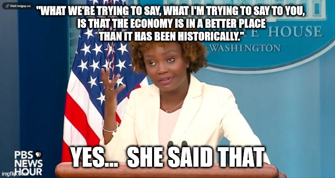 This is what you get when the criteria for the job was based on biometrics... | "WHAT WE'RE TRYING TO SAY, WHAT I'M TRYING TO SAY TO YOU,
 IS THAT THE ECONOMY IS IN A BETTER PLACE
 THAN IT HAS BEEN HISTORICALLY."; YES...  SHE SAID THAT | image tagged in dumb,press secretary | made w/ Imgflip meme maker
