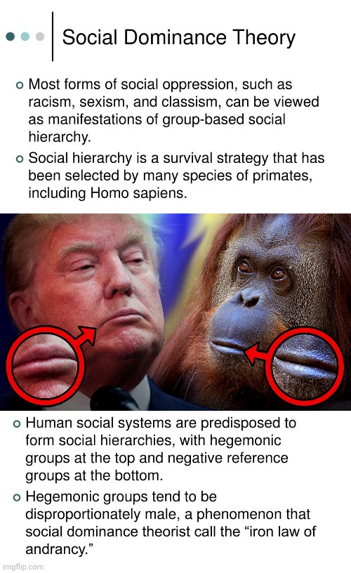 trumpist devolution | image tagged in trump supporters,fascist degeneracy,racism,sexism,homophobia,apes | made w/ Imgflip meme maker