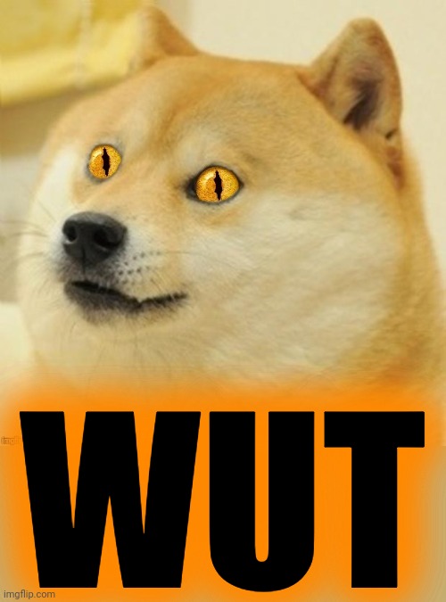 Doge Snake Eyes | WUT | image tagged in doge snake eyes | made w/ Imgflip meme maker