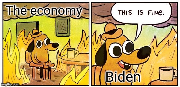 This Is Fine Meme | The economy; Biden | image tagged in memes,this is fine | made w/ Imgflip meme maker