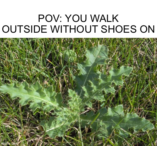 The Pain |  POV: YOU WALK OUTSIDE WITHOUT SHOES ON | image tagged in summer | made w/ Imgflip meme maker