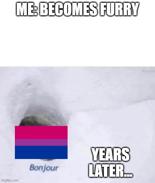 My backstory... | ME: BECOMES FURRY; YEARS LATER... | image tagged in bonjour,pride,lgbtq,bisexual,furry memes | made w/ Imgflip meme maker