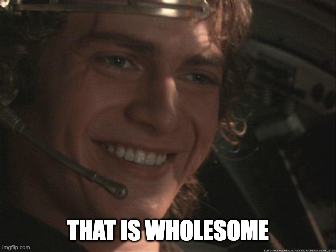 Anakin Happy | THAT IS WHOLESOME | image tagged in anakin happy | made w/ Imgflip meme maker