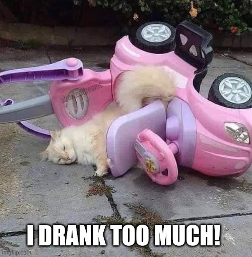 Drink | I DRANK TOO MUCH! | image tagged in cat | made w/ Imgflip meme maker