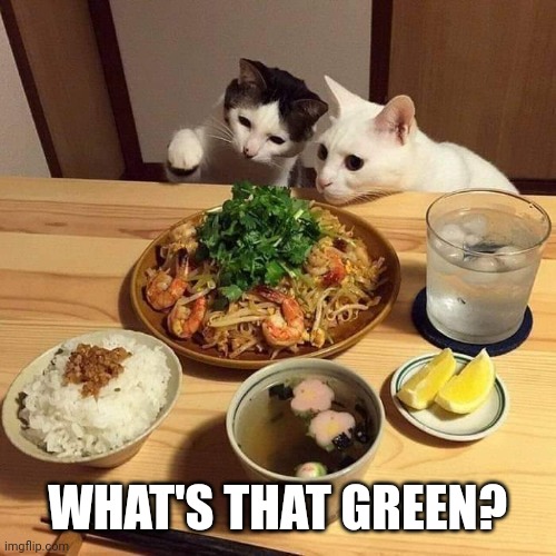 Green | WHAT'S THAT GREEN? | image tagged in cats | made w/ Imgflip meme maker