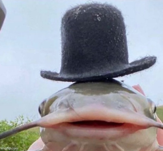 Fib | image tagged in fib | made w/ Imgflip meme maker