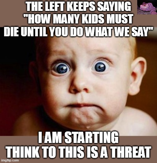 I wouldn't put it past them. | THE LEFT KEEPS SAYING "HOW MANY KIDS MUST DIE UNTIL YOU DO WHAT WE SAY"; I AM STARTING THINK TO THIS IS A THREAT | image tagged in scared face | made w/ Imgflip meme maker