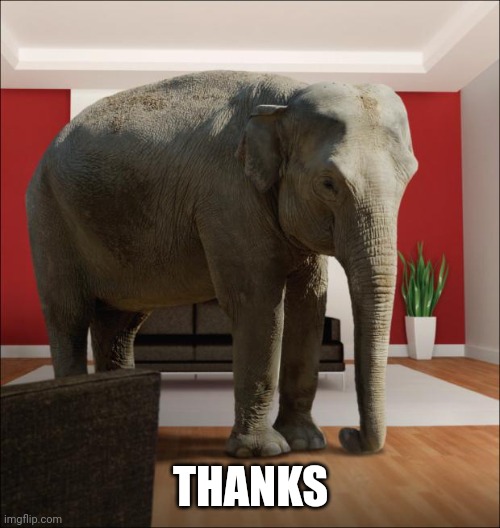 Elephant In The Room | THANKS | image tagged in elephant in the room | made w/ Imgflip meme maker